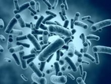 Bakterien verursachen Entzündungsprozesse